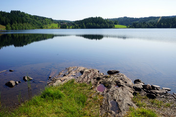 Wall Mural - Lake and forest