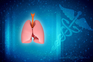 Aufkleber - Healthy Human Lungs 3d illustration