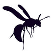 isolated, silhouette of a wasp, bee, on a white background