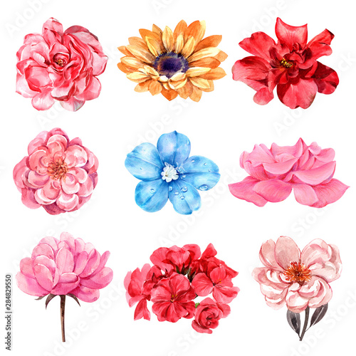 Flowers isolate for use as illustrations