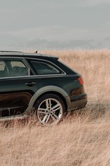 Poster - Vertical shot of a modern luxurious fancy black metallic car in a dry grass field