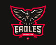  Eagle modern logo. Eagle design emblem template for a sport and eSport team.