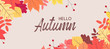 © tutti_frutti - Hello autumn falling leaves. Autumnal foliage fall and poplar leaves. Autumn design. Templates for placards, banners, flyers, presentations, reports.