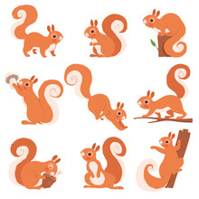 Cartoon Squirrel. Funny Forest Wild Animals Running Standing And Jumping Vector Squirrel Clip Art Collection. Squirrel Wild, Wildlife Animal Mammal Illustration