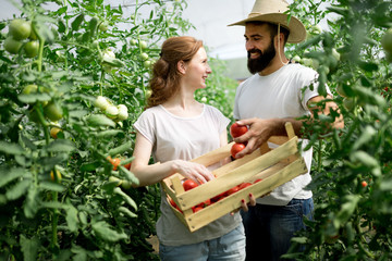 Two people working in a greenhouse.