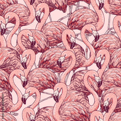 Fototapety Flamingi  wzor-rozowy-flamingo-piekny-ptak-bacground-ilustracji-wektorowych