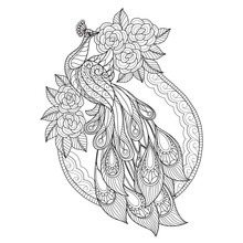 Hand Drawn Sketch Illustration Of Peacock And Roses For Adult Coloring Book.