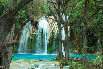 Sticker - hidden picturesque waterfall in the forest