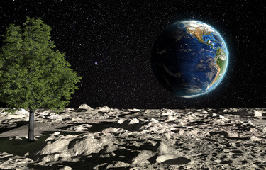 Wall Mural - the surface of the moon with a green tree and the planet earth on a background of the starry sky. cr