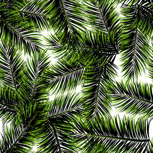 palm leave seamless pattern texture design