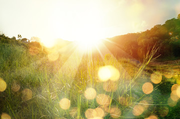 Beautiful sunrise in the mountain..Meadow landscape refreshment with sunray and golden bokeh.