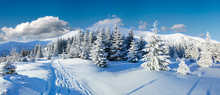 Morning Winter Mountain Landscape, Carpathian, Ukraine