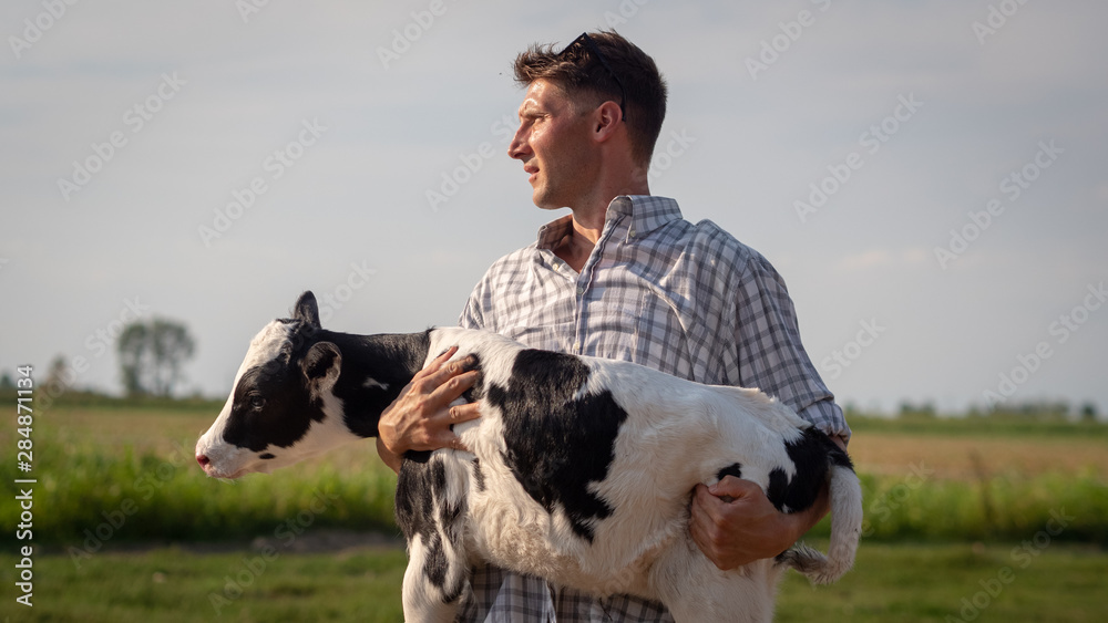 Authentic shot of young man farmer is holding on his arms an ecologically grown newborn calf used for biological milk products industry on a green lawn of a countryside farm.  - obrazy, fototapety, plakaty 
