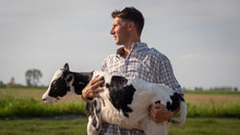 Authentic Shot Of Young Man Farmer Is Holding On His Arms An Ecologically Grown Newborn Calf Used For Biological Milk Products Industry On A Green Lawn Of A Countryside Farm. 