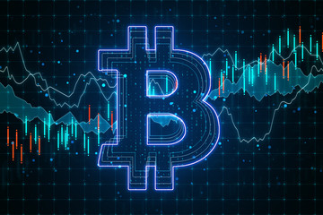 Poster - E-commerce concept with bitcoin circuit and business statistic screen.