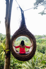 Wall Mural - A female tourist is sitting on a large bird nest on a tree at Bali island