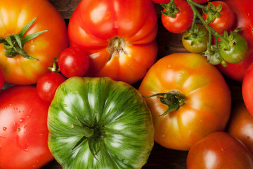 Fototapete - Fresh garden colorful tomatoes