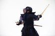 © kinomaster - Kendo martial arts fighters in silhouette isolated on white bacground. the japanese script is the name of the fighter, blank is for the beginners regarding rules