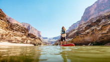 A Man Stand Up Paddleboards On The Colorado River, Grand Canyon National Park, Arizona, USA