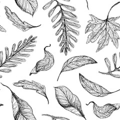 Autumn seamless pattern. Drawing in black pen. Contour fallen leaves. Graphic botanical wallpaper on a white background. Suitable for postcards, wrapping paper, scrapbooking, fabric designs, etc.