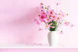 Fototapeta Kosmos - Fresh summer bouquet of pink cosmos flowers in white vase on white wood shelf on pink wall background. Floral home decor.