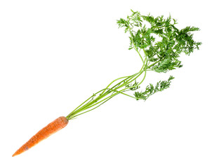 Wall Mural - fresh organic garden carrot with greens cutout