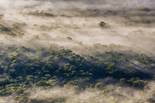 Scenic View Of Foggy Morning At Blue Mountains National Park