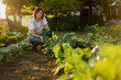 © Westend61 - Woman working in her vegetable garden