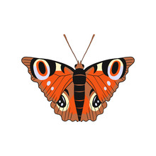 Aglais Io, The European Peacock, More Commonly Known Simply As The Peacock Butterfly, Is A Colourful Butterfly. Vector Illustration Of Beautiful Insect.
