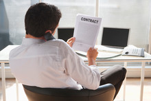 Business Man Reading Contract, Using Phone, Rear View