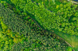 Top down view of the forest, aerial drone photography, Poland, Europe.
