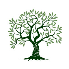 Olive tree on white background. Vector Illustration and concept pictogram.
