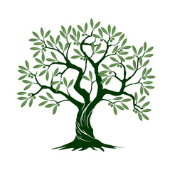 olive tree on white background. vector illustration and concept pictogram.