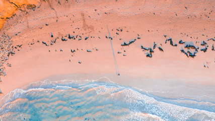 Wall Mural - Aerial View of Australian Beaches and Coastline of the Great Ocean Road