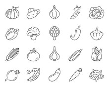 Vegetable Food Simple Black Line Icons Vector Set
