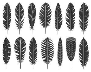 Wall Mural - feather quill tribal silhouette icons vector set