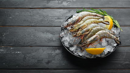 Wall Mural - black tiger prawns with lemon on ice. Seafood. Top view. On a black background. Free copy space.