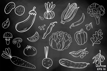 Wall Mural - Chalk board. Hand drawing. Vegetables. Set. For your design. Healthy eating