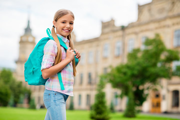 Sticker - Profile side photo of lovely child looking with toothy smile wearing plaid checkered shirt standing outdoors