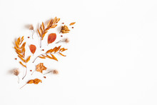 Autumn Composition. Dried Leaves, Rowan Berries On White Background. Autumn, Fall, Thanksgiving Day Concept. Flat Lay, Top View, Copy Space