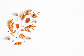 Autumn composition. Dried leaves, rowan berries on white background. Autumn, fall, thanksgiving day concept. Flat lay, top view, copy space