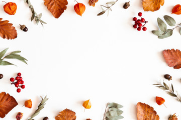 Autumn composition. Physalis flowers, eucalyptus leaves, rowan berries on white background. Autumn, fall, thanksgiving day concept. Flat lay, top view, copy space