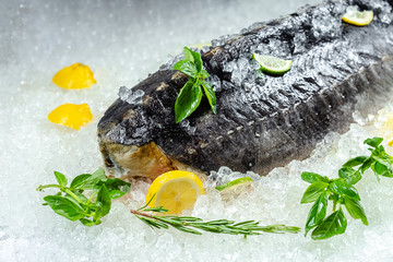 fresh sea ocean sturgeon fish, lies on ice, without and with a head, cherry, slices of lemon and lime are sliced round, lie around with basil, light, top view from the side, around