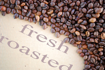 text fresh roasted on a roasted coffee background