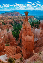 Thor's Hammer In Bryce Canyon National Park
