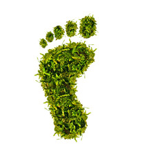 Grüner Fuß - ökologischer Fußabdruck