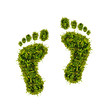 ökologischer Fußabdruck - grüne Füße aus Moos