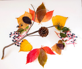 autumn background with decoration of red and yellow natural leaves in circular shape and pinecone on its branch