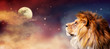 African lion and moon night in Africa banner. African savannah landscape theme, king of animals. Spectacular dramatic starry cloudy sky. Proud dreaming fantasy lion in savanna looking forward.