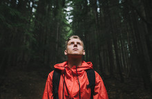 Portrait Of A Handsome Young Man In A Red Jacket Stands In The Evening Forest With His Head Up, Looking With A Serious Face. Closeup Portrait Of Young Hiker Hiking, Looking Up At Trees. Mountain Trip.